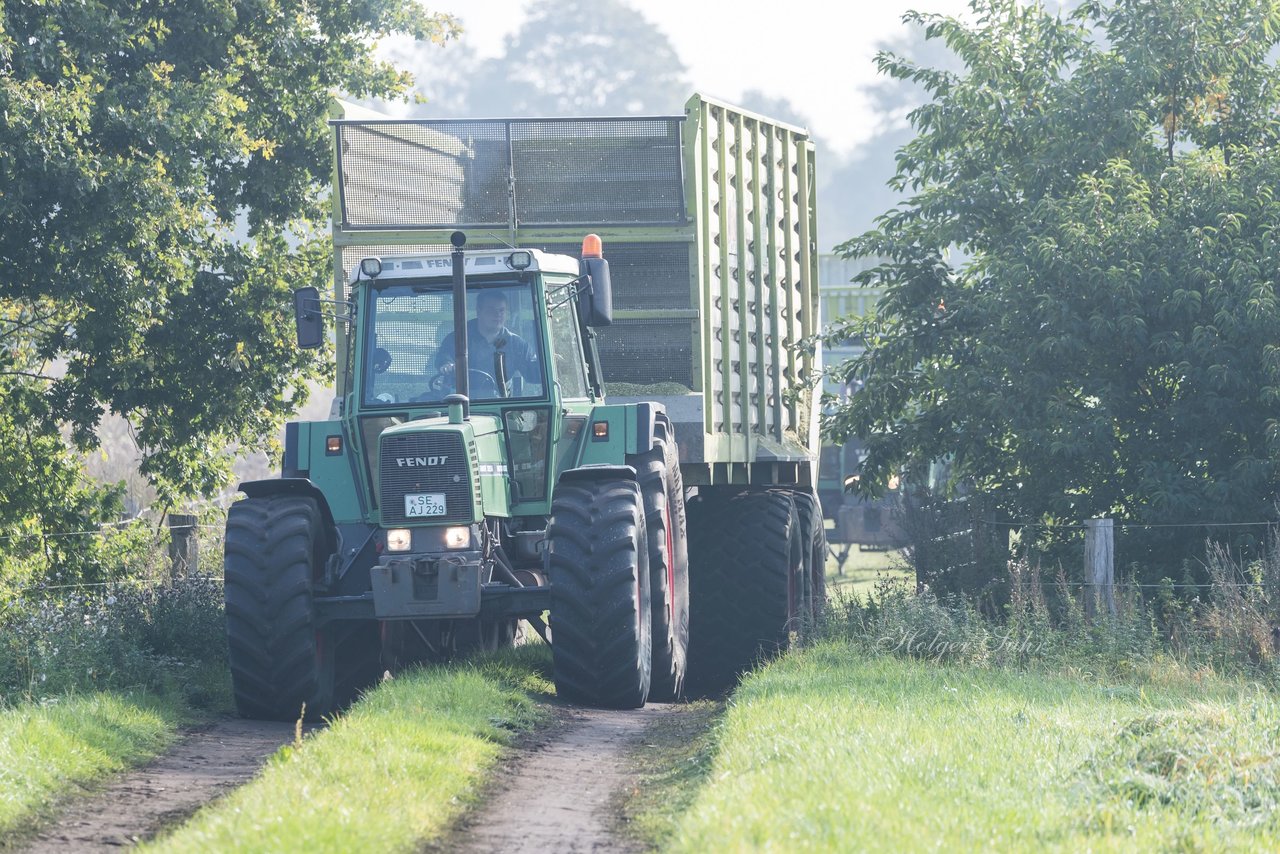 Bild 159 - Maisernte